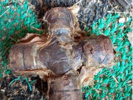 Крестовина карданного вала ЗИЛ-131, УРАЛ